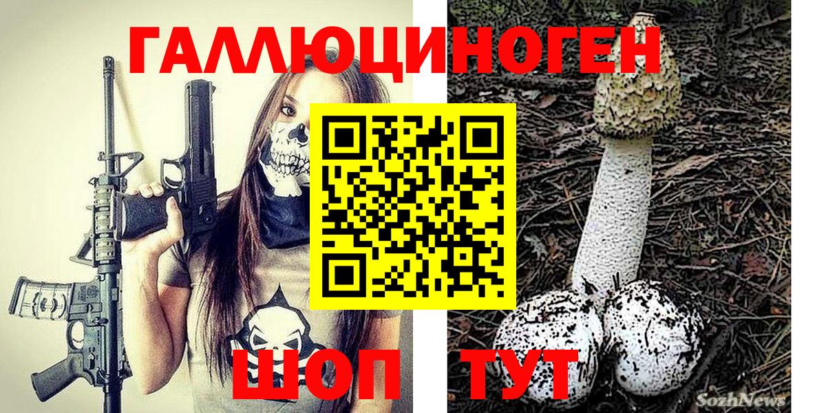 Галлюциногенные грибы Cubensis  Вход с VPN  Биробиджан 
